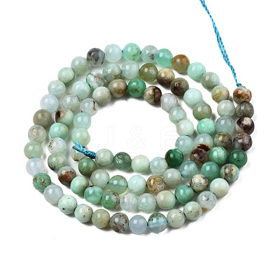 Natural Chrysoprase Beads Strands G-S333-4mm-016-1