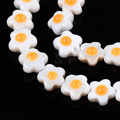Natural Freshwater Shell Beads Strands SHEL-N003-31A-01-1