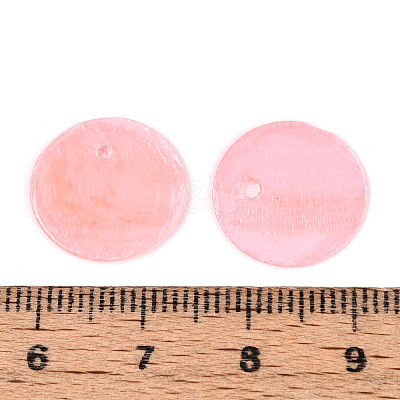 Spray Painted Natural Capiz Shell Disc Charms BSHE-T014-02A-1