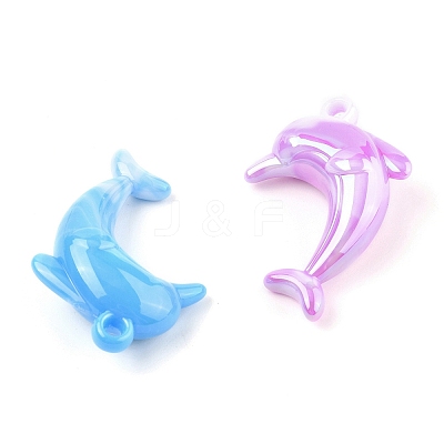 Acrylic Pendants PACR-Z001-04-1