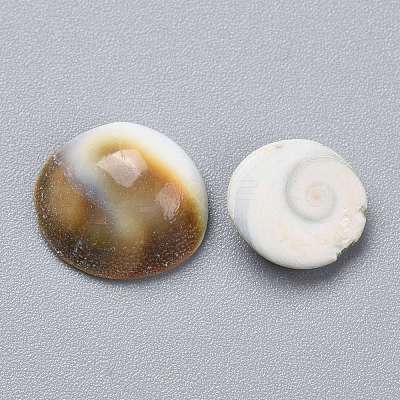 Natural Sea Shell Cabochons SSHEL-K026-03A-1