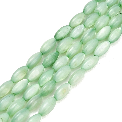 Natural Freshwater Shell Beads Strands X-SHEL-C010-01A-1