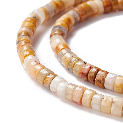 Natural Crazy Lace Agate Beads Strands G-A201-A05-1