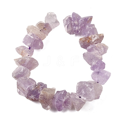 Natural Amethyst Beads Strands G-I283-F24-1