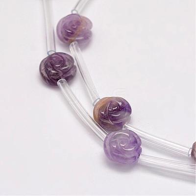 Natural Amethyst Beads G-O156-C-14-1