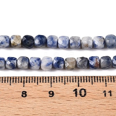 Natural Blue Spot Jasper Beads Strands G-N342-113-1