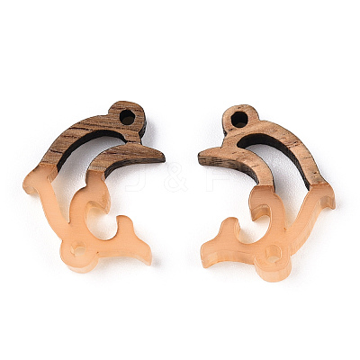 Opaque Resin & Walnut Wood Connector Charms RESI-N039-46D-1
