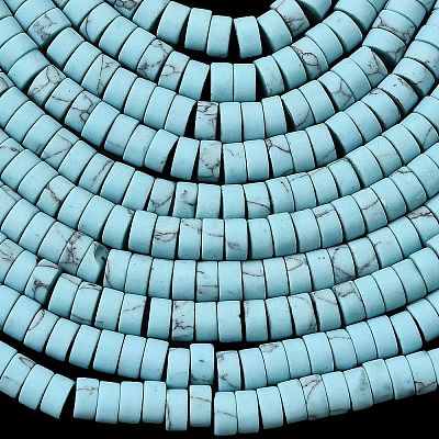 Dyed Synthetic Turquoise Beads Strands G-Z089-A04-F-1