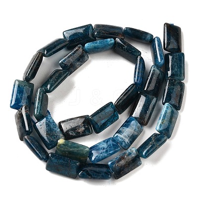Natural Apatite Beads Strands G-Q026-B01-01-1