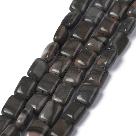 Natural Red Zebra Jasper Beads Strands G-Z006-B06-1