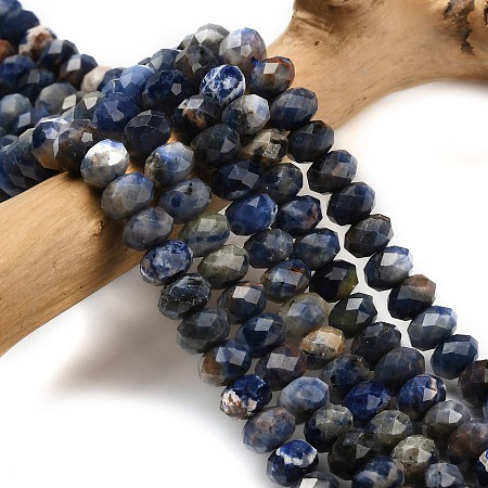 Natural Sodalite Beads Strands G-Z111-A20-1