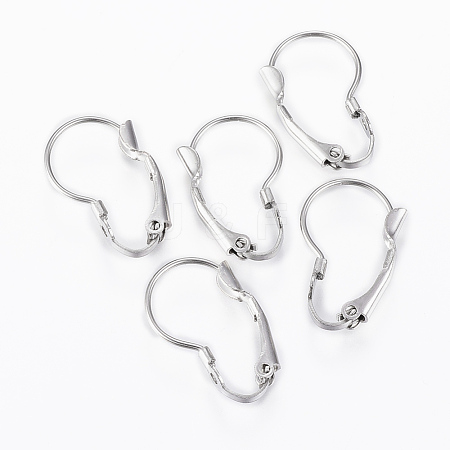 Tarnish Resistant 304 Stainless Steel Leverback Earring Findings STAS-G161-20B-1