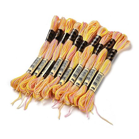 10 Skeins 6-Ply Polyester Embroidery Floss OCOR-K006-A45-1