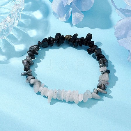 Natural Eagle Eye Stone Chips Beaded Stretch Bracelets for Women BJEW-TA00557-05-1