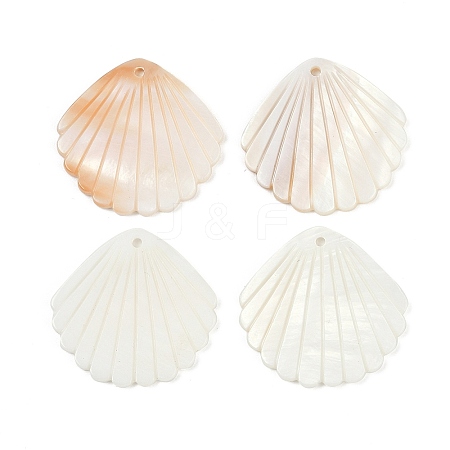 Natural Freshwater Shell Pendants X-SHEL-K006-45B-1