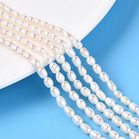 Natural Cultured Freshwater Pearl Beads Strands PEAR-N024-04-2AB-1