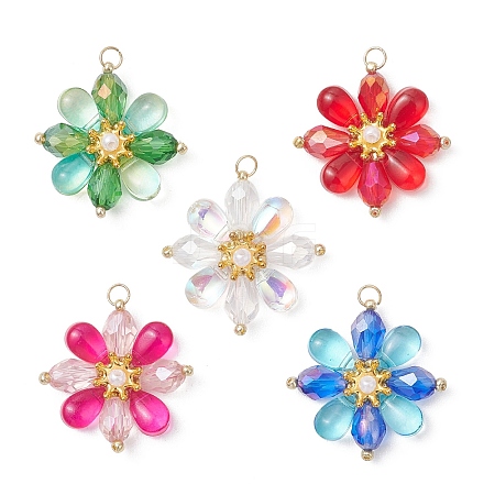Glass Beaded Pendants PALLOY-MZ01186-1
