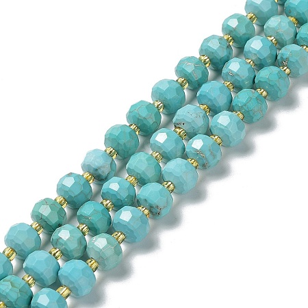 Natural Howlite Beads Strands G-E604-D01-B-1