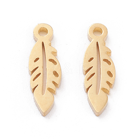 304 Stainless Steel Charms STAS-I151-27G-1