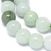 Natural Jadeite Beads Strands G-G789-01B-3