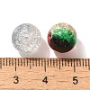 Mixed Style Glass Beads GLAA-XCP0012-02P-3