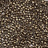 Electroplate Glass Seed Beads X-SEED-S042-01B-03-3
