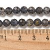 Natural Iolite Beads Strands G-A097-A14-09A-2