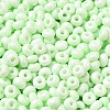 Baking Paint Glass Seed Beads SEED-B001-02A-11-3