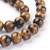 Natural Tiger Eye Beads X1-G-G099-8mm-4-3