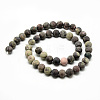 Natural Ocean Jasper Bead Strands G-Q462-71-10mm-3