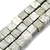 Natural Variscite Beads Strands G-B155-C05-8x8mm-2