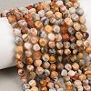 Natural Crazy Agate Beads Strands G-P611-C06-01-1