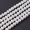 Shell Pearl Bead Strands X-BSHE-P023-3mm-1