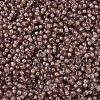 MIYUKI Round Rocailles Beads X-SEED-G007-RR0337-3