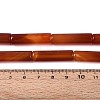 Dyed Natural Red Agate Beads Strands G-T144-30A-01-5