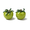 Imitation Vegetable Resin Pendants LS-RESI-K033-03B-02-1