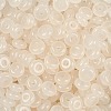 Transparent Colours Glass Seed Beads SEED-P008-01B-06-2