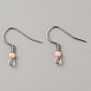 304 Stainless Steel Earring Hooks LS-STAS-WH0027-64P-02-1