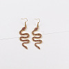 Alloy Rhinestone Dangle Earrings FS-WGB3D7E-05-1
