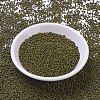 MIYUKI Round Rocailles Beads SEED-X0057-RR4519-2