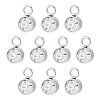 10Pcs Glass Rhinestone Charms STAS-TA0003-26F-1