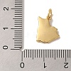 ack Plating Brass Enamel Charms KK-L220-017G-3