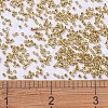 MIYUKI Delica Beads X-SEED-J020-DB0410-4