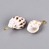 Brass & Natural Spiral Shell Pendants SHEL-Q029-16KCG-2