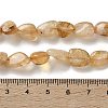 Natural Citrine(Heated) Beads Strands X-G-F827-A01-02-5