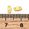 2-Hole Baking Paint Glass Seed Beads SEED-S023-17A-12-3