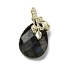 Natural Labradorite Faceted Teardrop Pendants KK-D021-03F-G-1