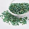 Glass Bugle Beads SEED-E001-12mm-167-1