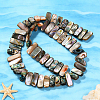 1 Strand Natural Paua Shell Beads Strands BSHE-PA0001-08-4
