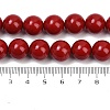 Shell Pearl Beads Strands BSHE-K015-12mm-01-4